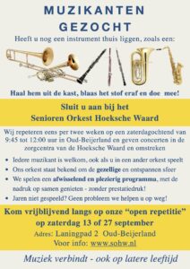 Zin om ongedwongen in een orkest te spelen?