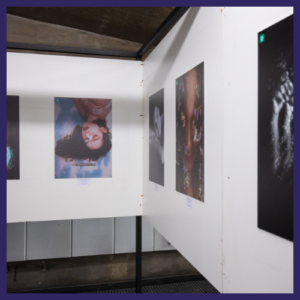 Gezocht: Mensen met een groot hart voor kunst & cultuur!